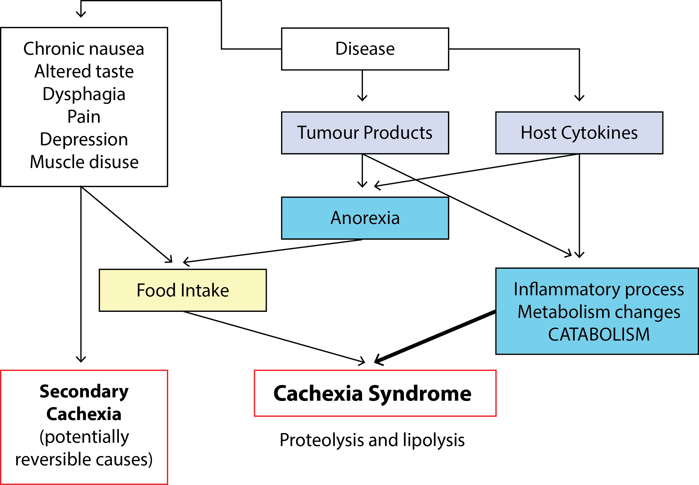 Cachexia Syndrome Diagram