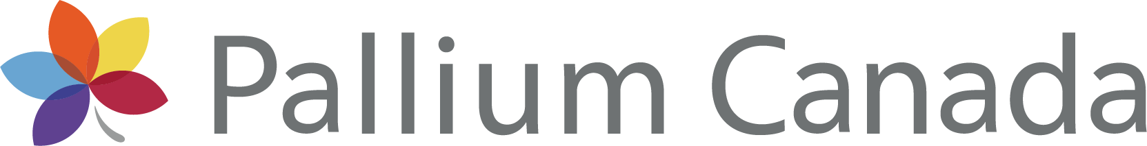 Pallium Logo